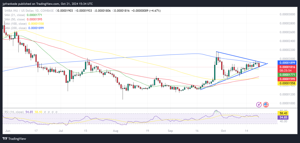 Shiba Inu Holders Move to This New ICO 