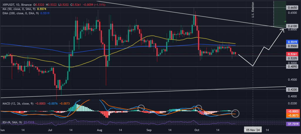 XRP USDT 1D price chart, critical support levels. Source: Binance.