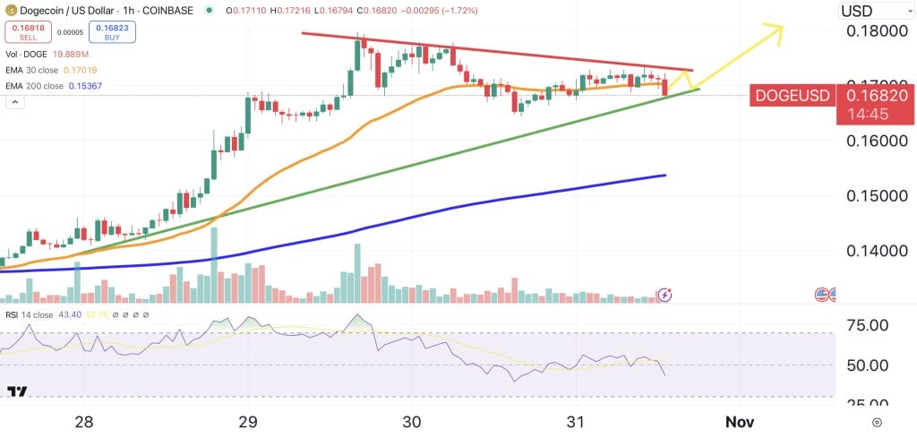 Dogecoin price chart.