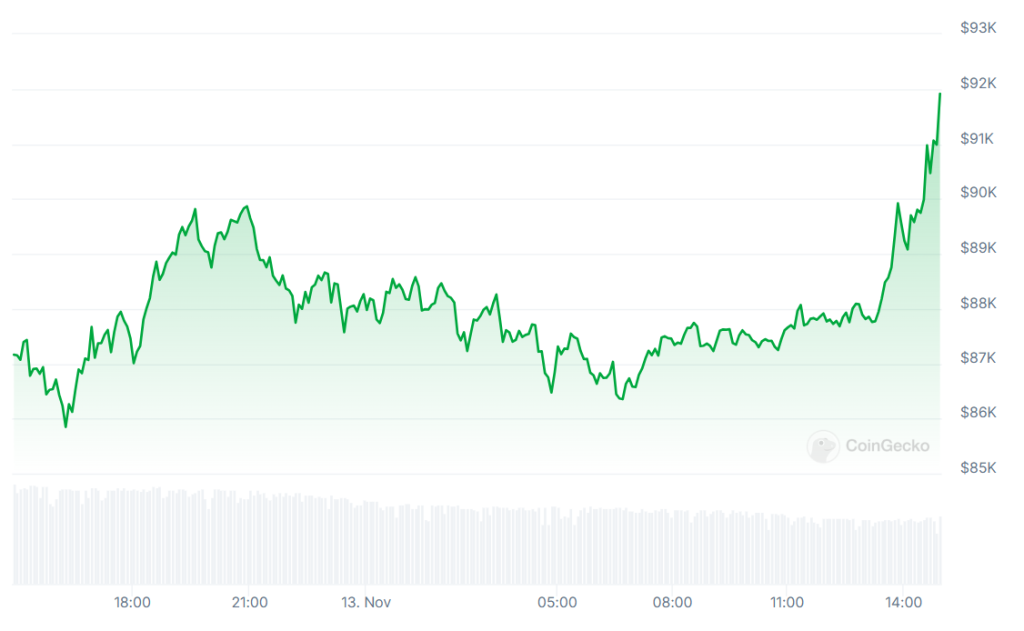 A graph showing Bitcoin (BTC) prices on November 13.