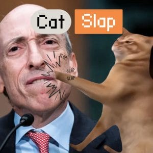 Catslap slapping Gary Gensler