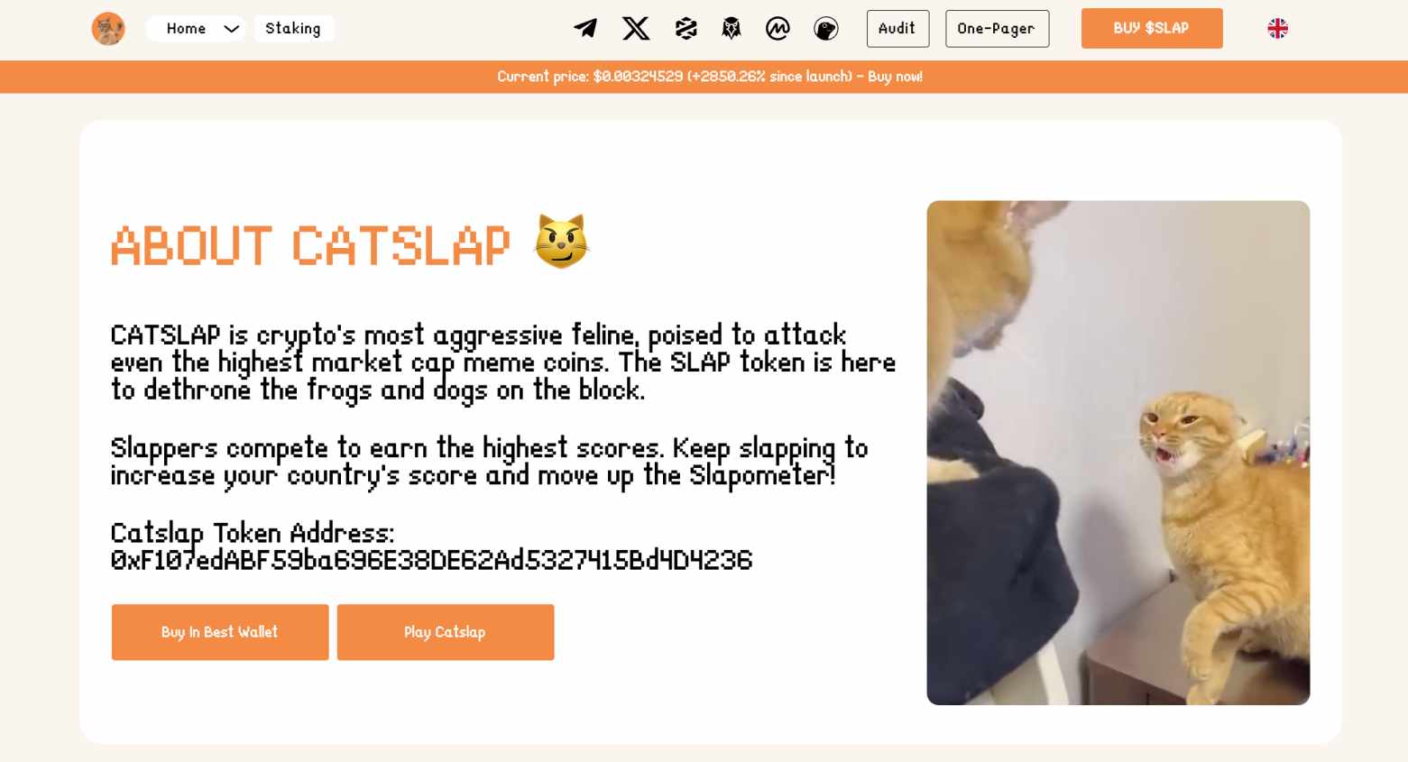What is Catslap token?
