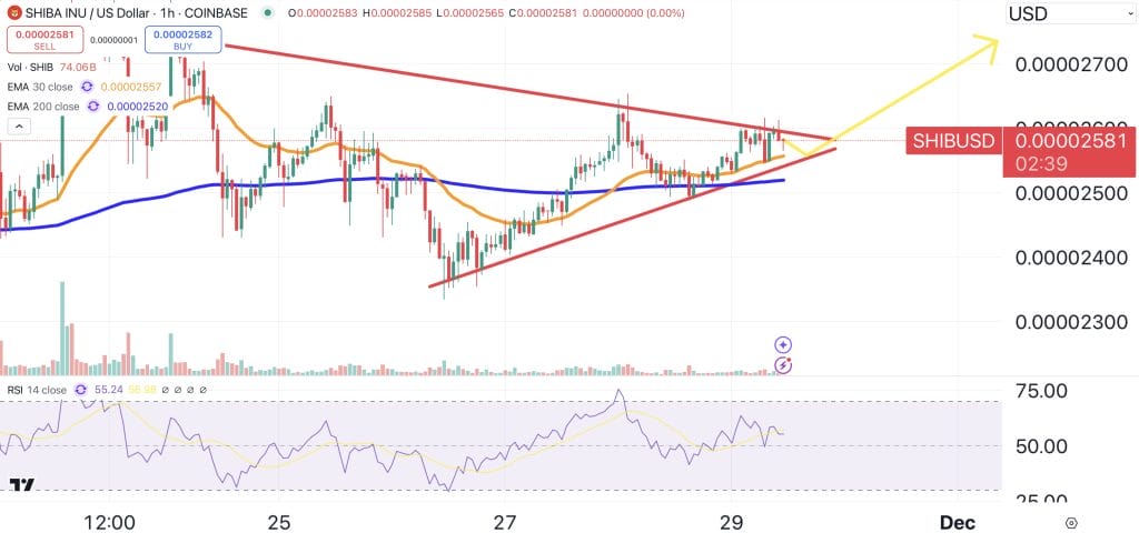 Shiba Inu price chart - top performing coins.