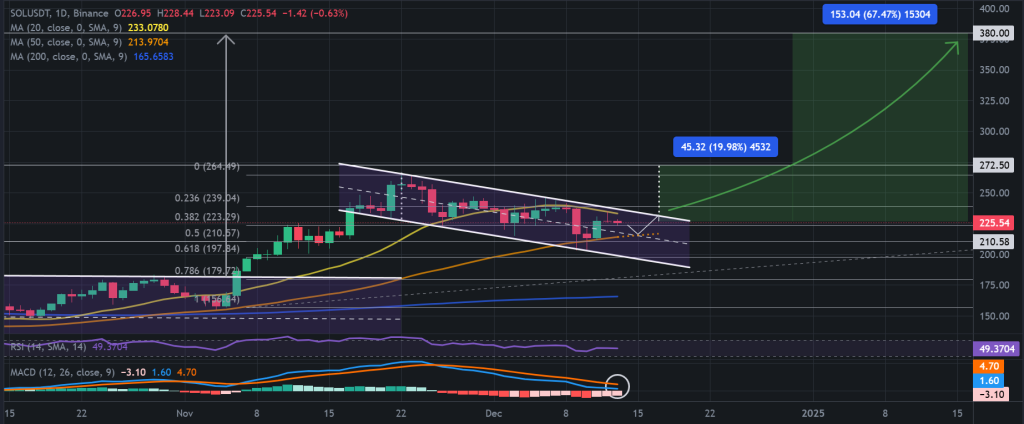 SOL / USDT 1D chart, descending channel pattern. Source: Binance.