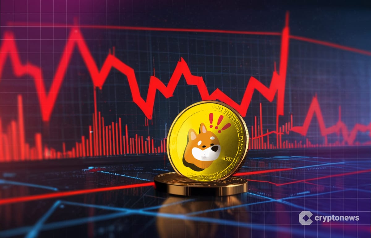 Why Is BONK Crashing? Major Losses Hit Meme Coins as Bitcoin Drops Below $100K.