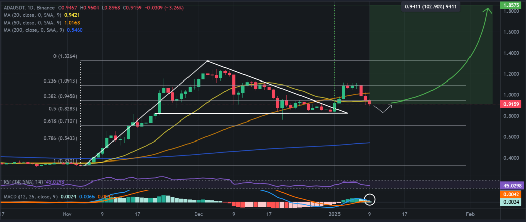 ADA / USDT 1D chart, pennant pattern breakout. Source: Binance.