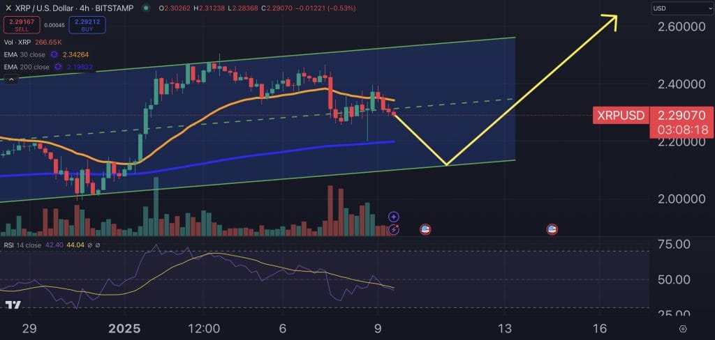 XRP price chart.