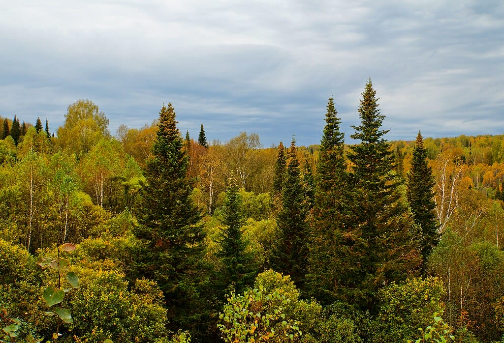 Rural Southern Siberia.