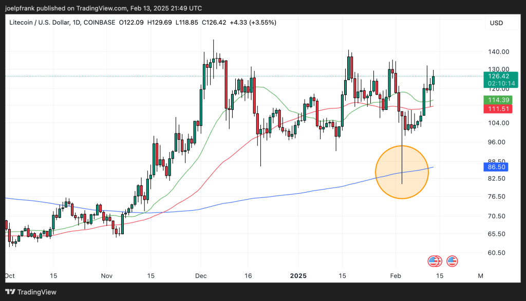 Litecoin Price Set to Skyrocket as ETF Hype Rises