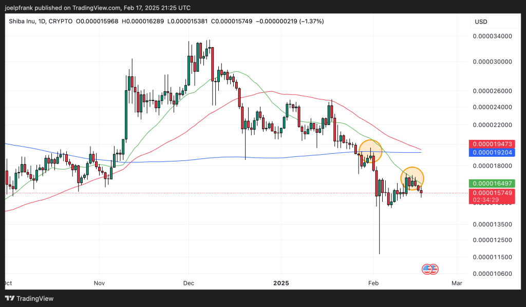 Shiba Inu in Trouble as Technical Signals Flash Bearish