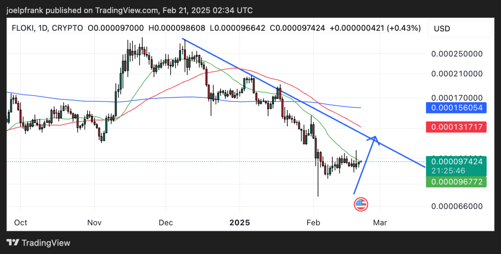 FLOKI Sees $200M in Daily Volume