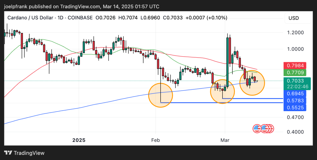 Cardano Price Testing KEY Support Level - Massive Crash Coming?