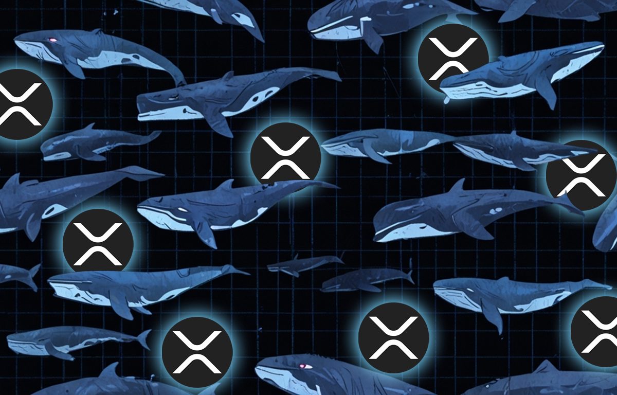 New Data: XRP Whale Holdings are Surging – Is a Big Breakout Coming?