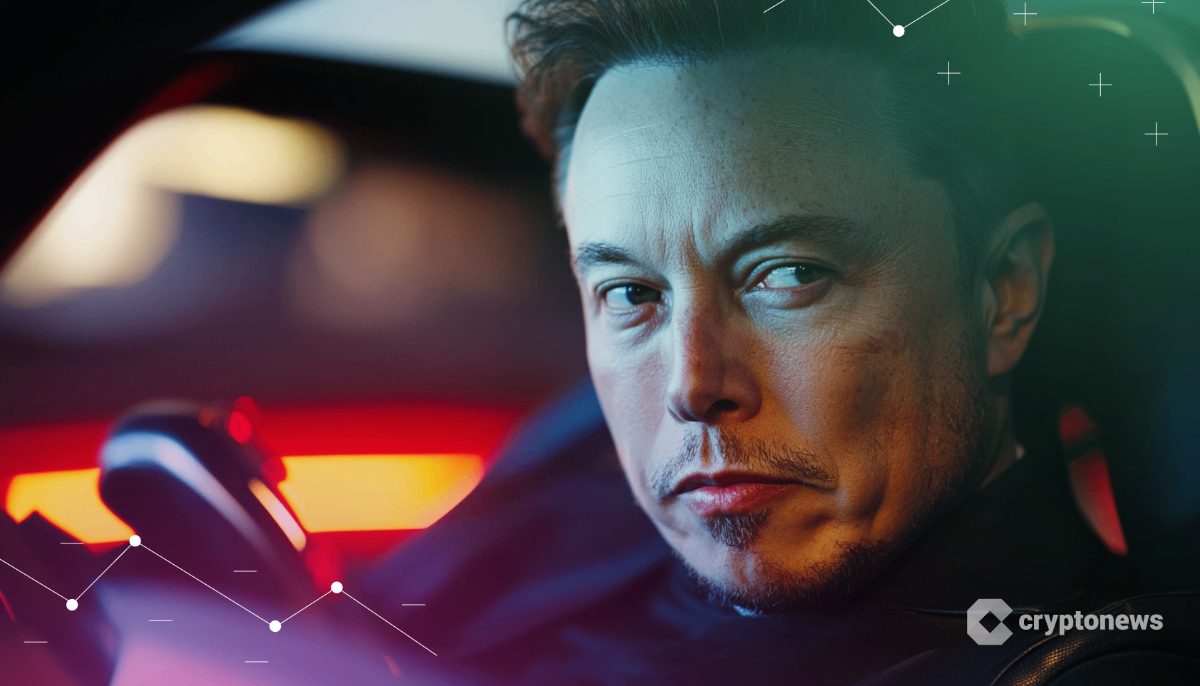 Elon Musk meme coin