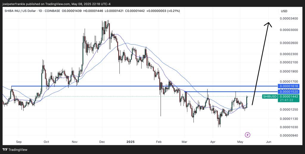 SHIB Price Prediction: 78% of Investors Still Holding