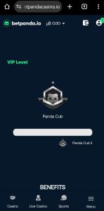 betpanda vip 