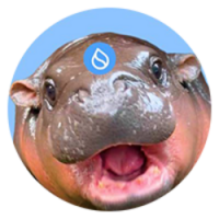 sudeng logo