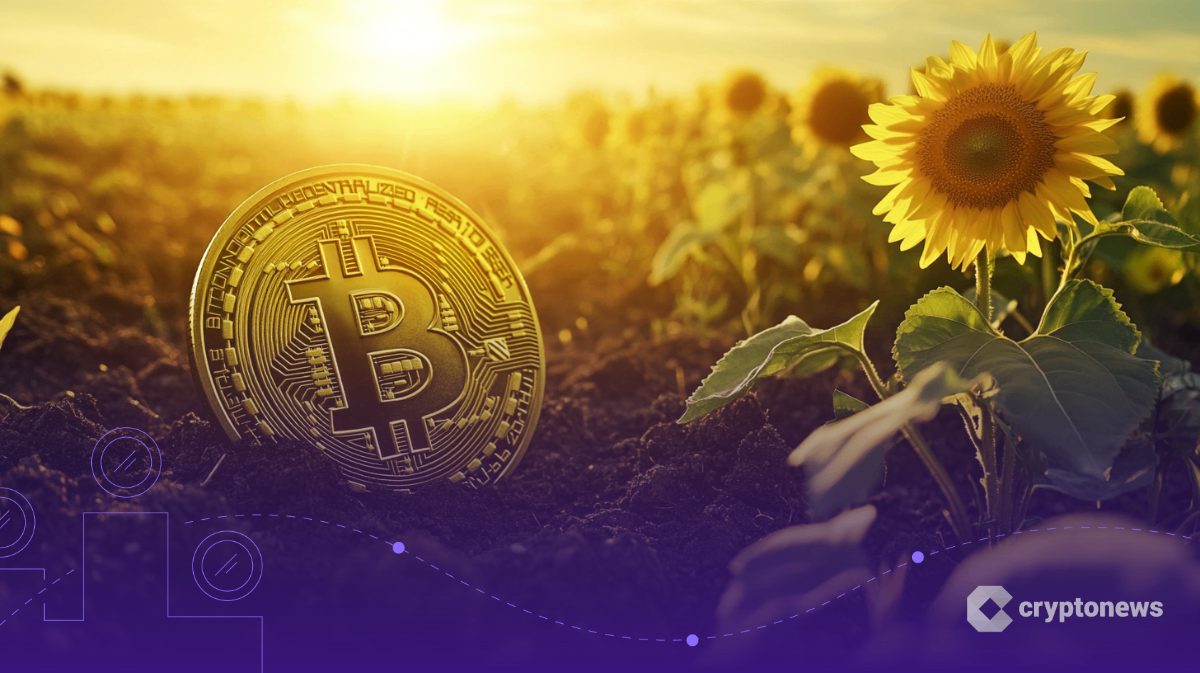 Ukraine Plans to Create Bitcoin Reserve With Binance, Bill in Progress: Report