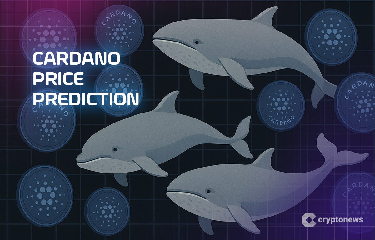 Cardano Price Prediction: On-Chain Data Shows Whales Accumulated While Retail Sold – Is a Parabolic Move Coming?