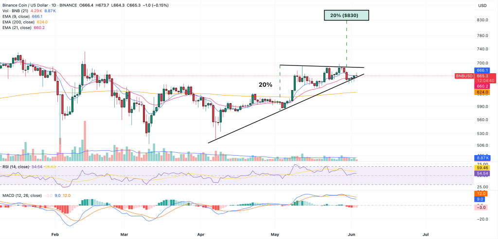 bnb coin price prediction