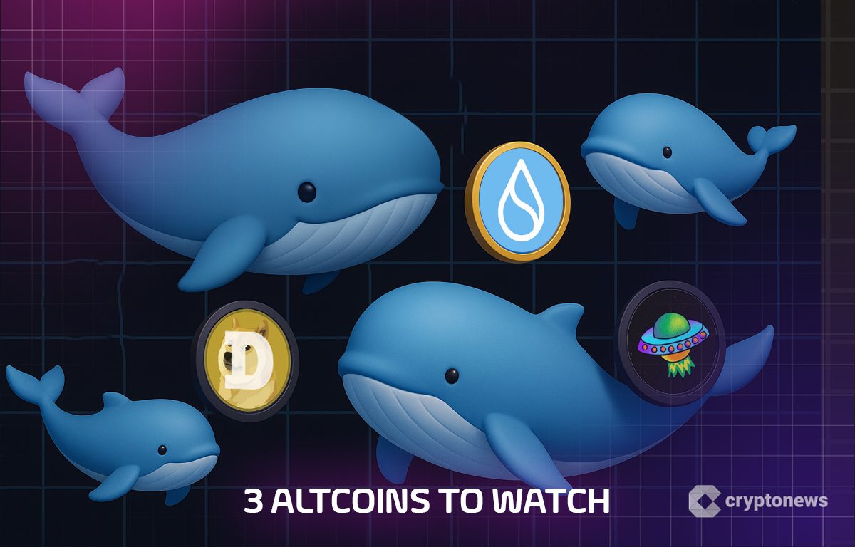 Whales Accumulate 30 Million Coins in Anticipation of June Rise | 3 Altcoins to Watch