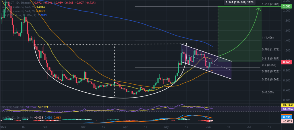 WIF / USDT 1-day chart, cup and handle pattern. Source: TradingView, Binance.