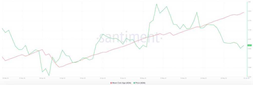 Cardano mean coin age. Source: Santiment.