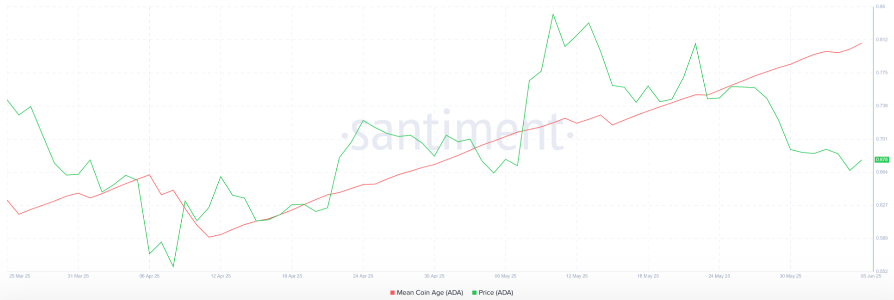 berdasarkan data dari Santiment, pelemahan ini bisa jadi hanya merupakan aksi koreksi jangka pendek atau shakeout yang menguji ketahanan investor. Indikator Mean Coin Age (MCA) justru menunjukkan tren naik, yang menandakan bahwa mayoritas pemegang jangka panjang tetap mempertahankan posisi mereka