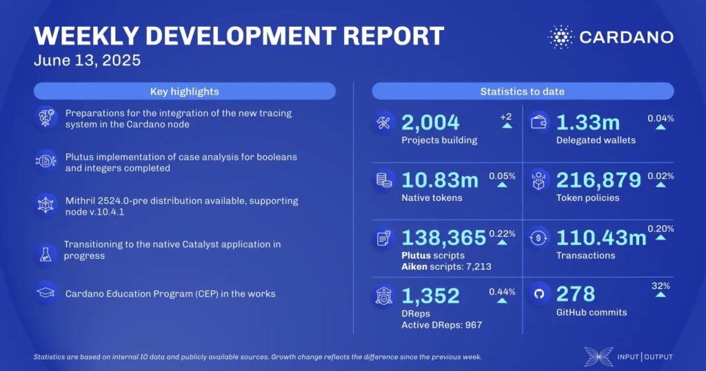 cardano network stats
