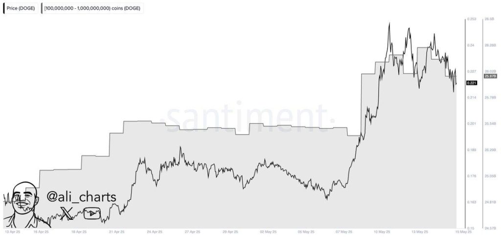 Dogecoin whale accumulation. Source: Ali Martines.