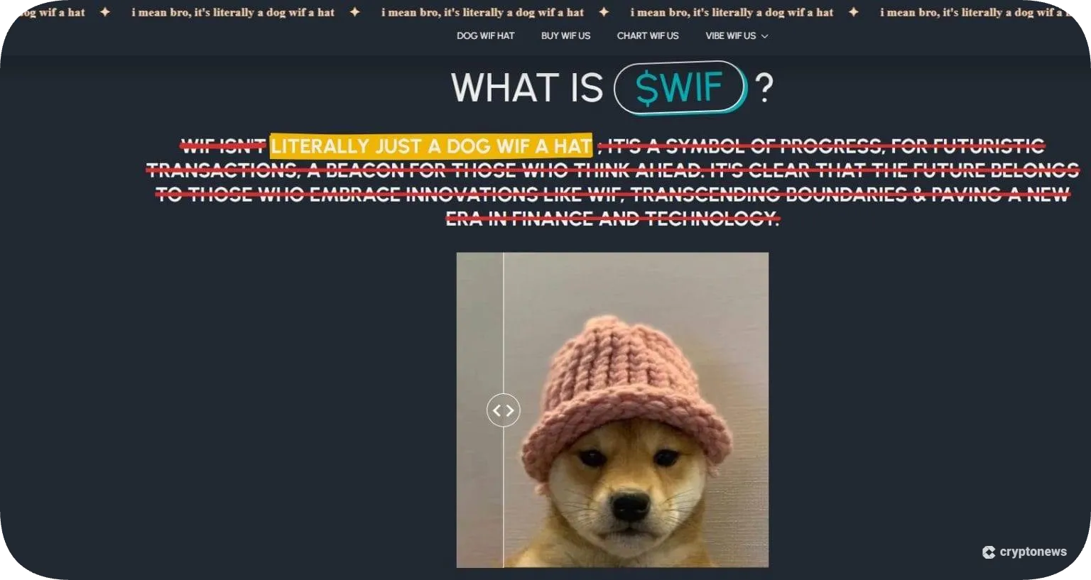 Dogwifhat is the Biggest Gainer in the Meme Coin Community in 2024