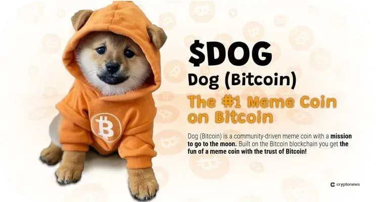 dog bitcoin is one of the top meme coins on bitcoin