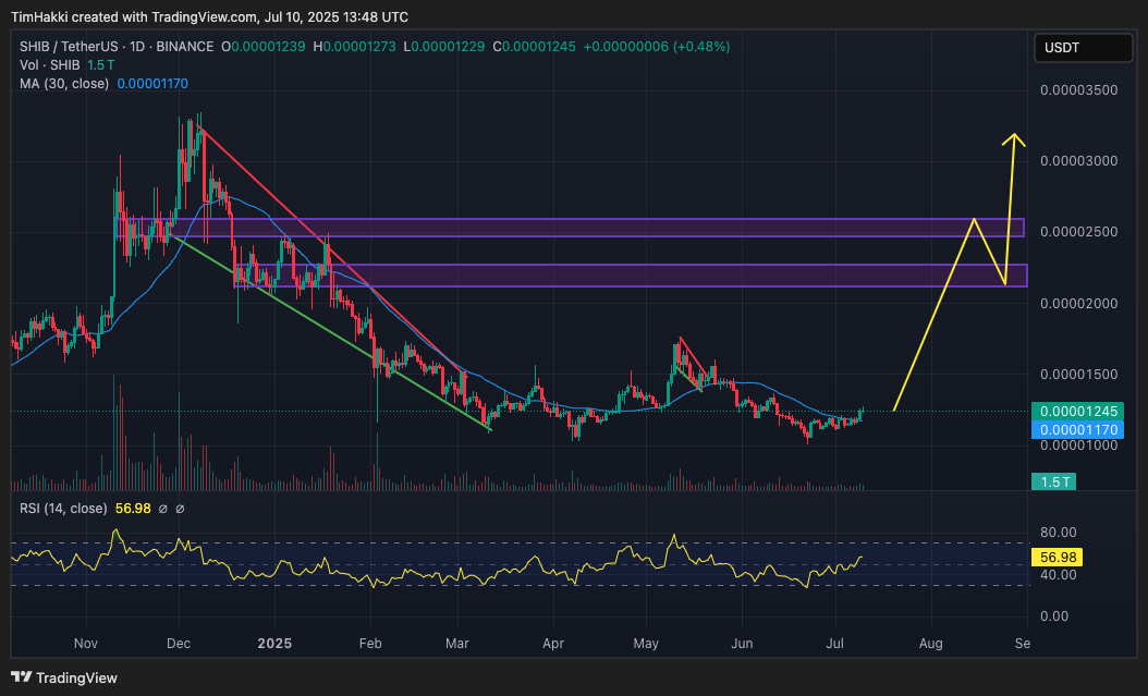 $SHIB: Potensi Kinerja Harga di Sisa Tahun Ini