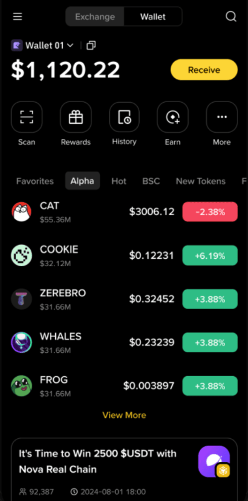 Binance Wallet App Dashboard