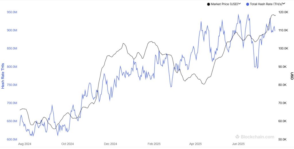 A graph showing the total Bitcoin hashrate over the past 12 months.