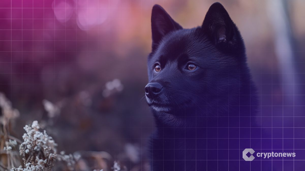 Online gatherings behind the most famous Shiba Eno in the world star-news.press/wp #freemanyu: online gatherings behind the most famous black Sheba Eno