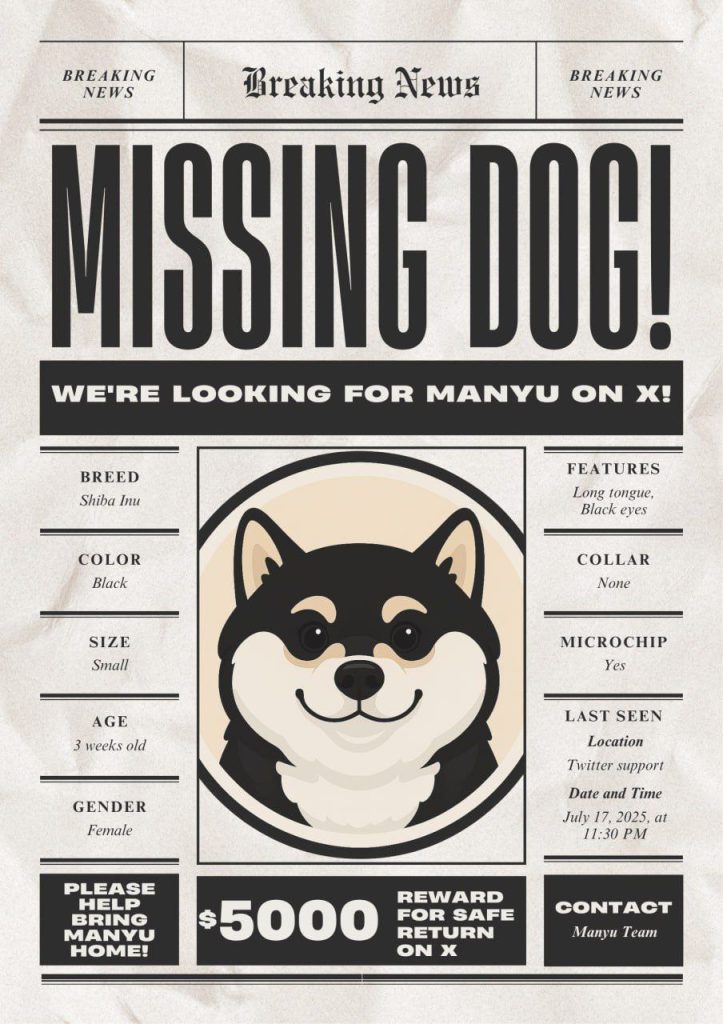 Online gatherings behind the most famous Shiba Eno in the world star-news.press/wp