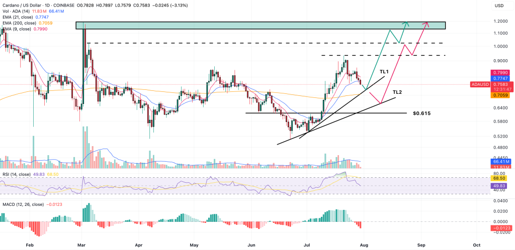 CARDNE-price forecast