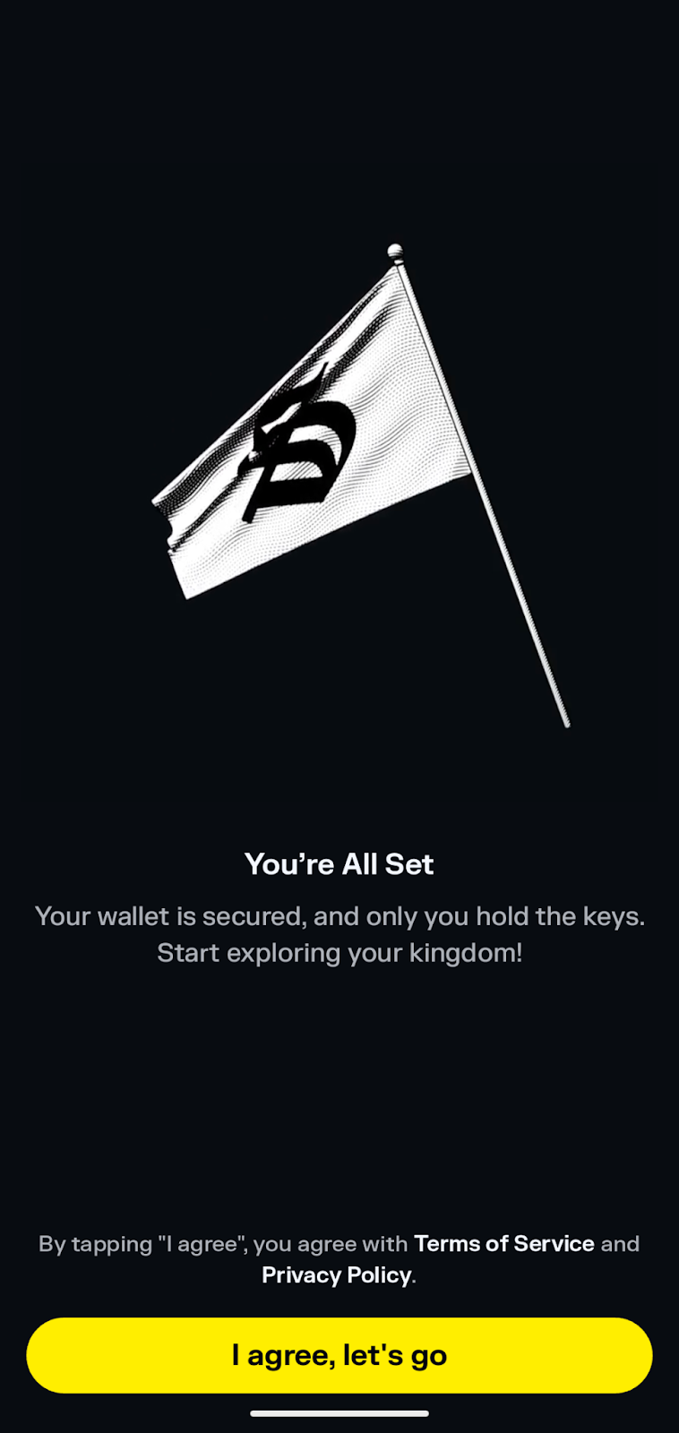 solflare setup complete