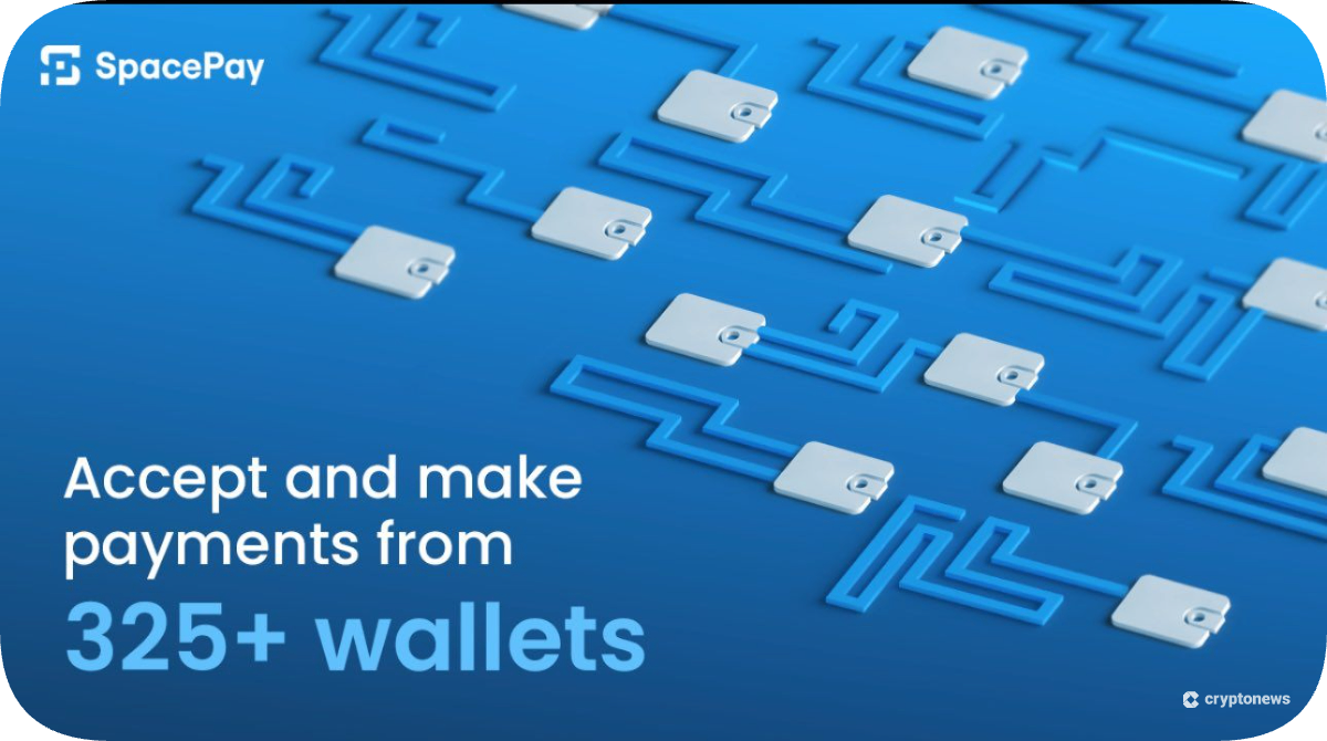 SpacePay Presale Key Numbers