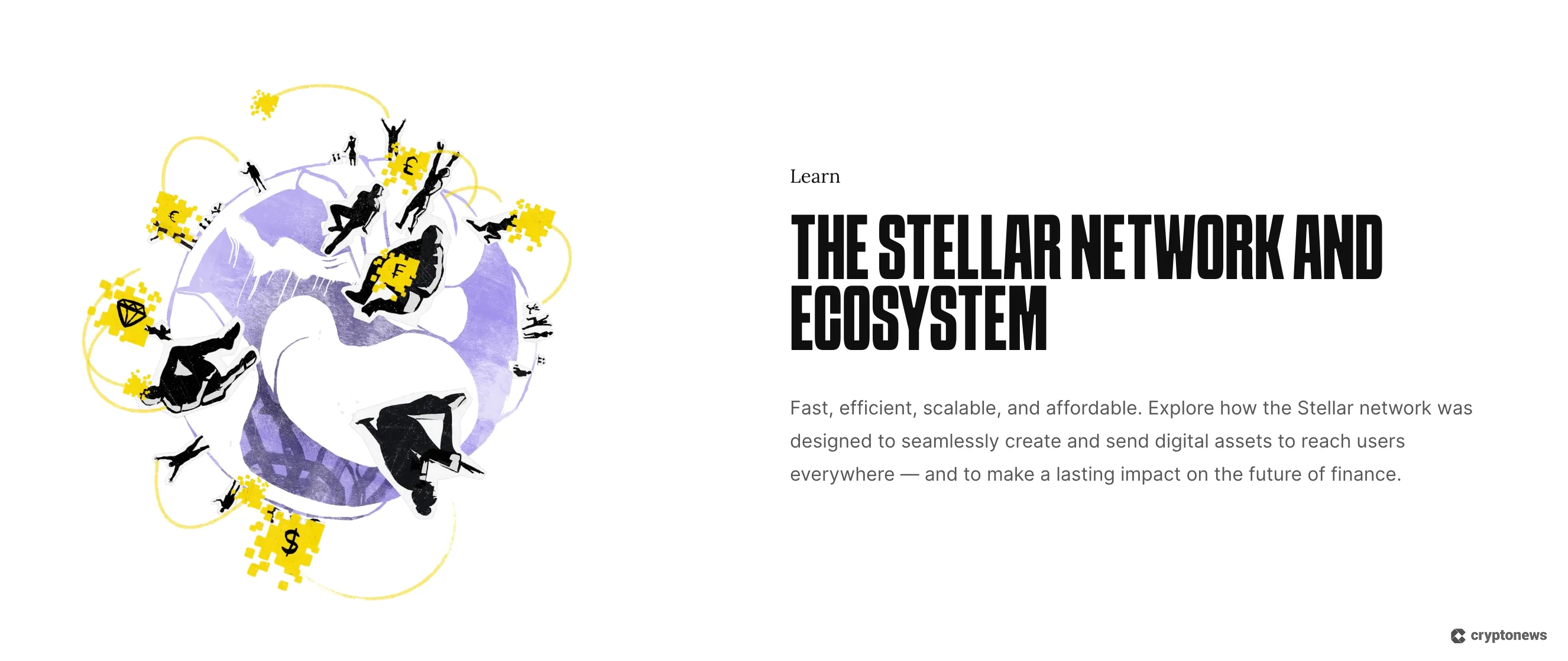 xlm's network and ecosystem description