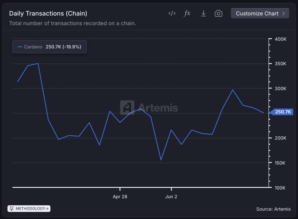cardano daily transactions