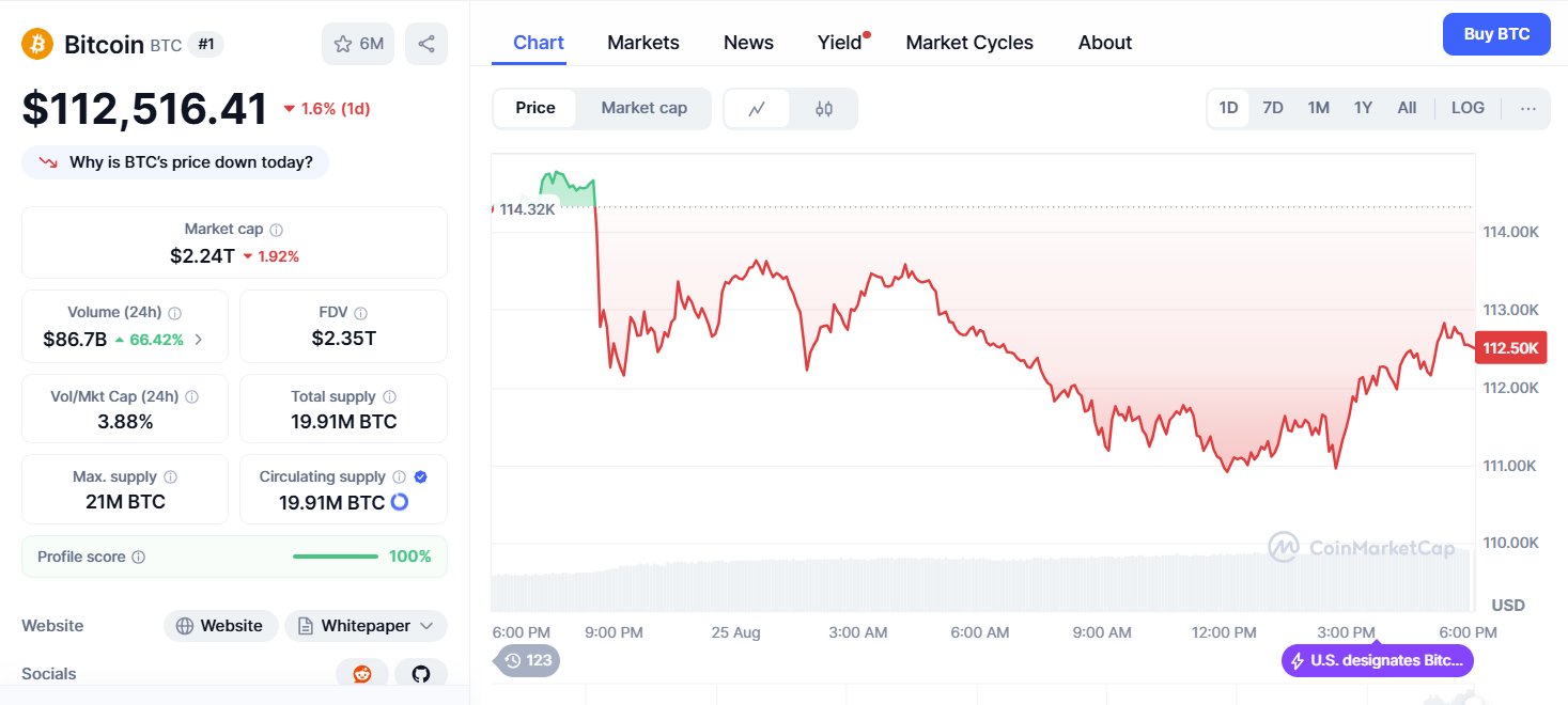ChatGPT's Bitcoin Analysis Reveals Critical $112K Support Test as $2.7B Whale Selloff Triggers Market Liquidation