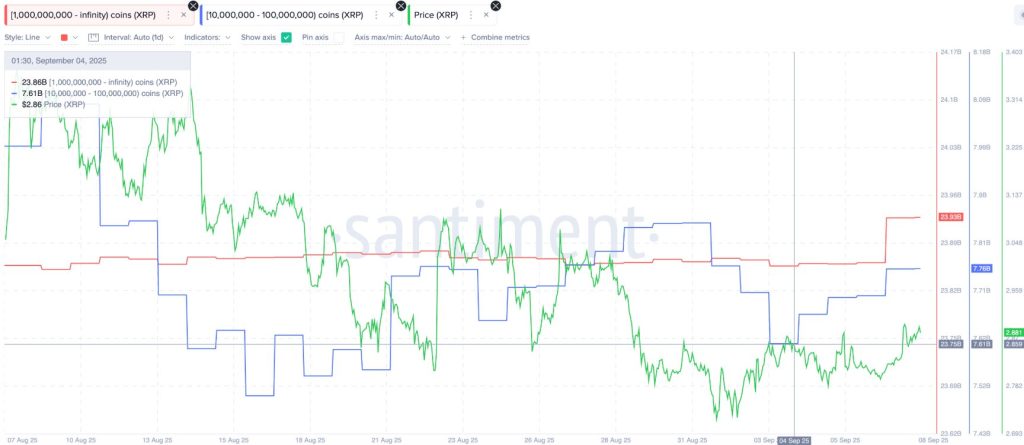 Total supply held of large holders. Source: Santiment.