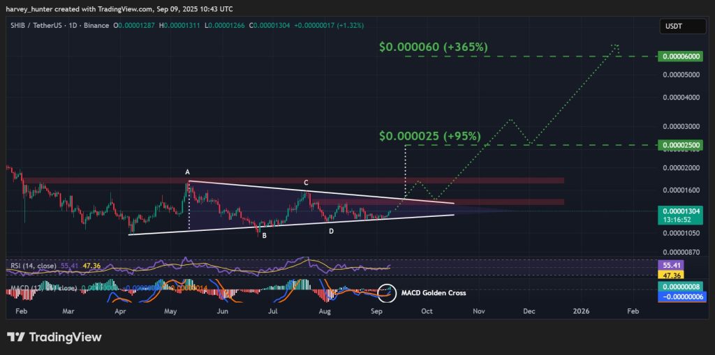 Shib // 1-денний діаграму USD, симетричний малюнок трикутника. Джерело: TradingView.