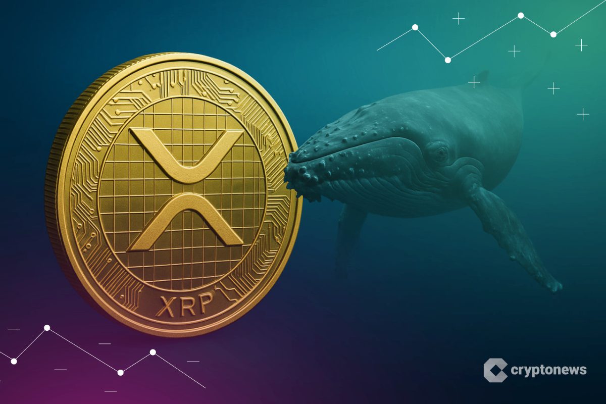 XRP Set to Gain 10x in 80 Days as DOT Miners Offer Fresh Daily Opportunities