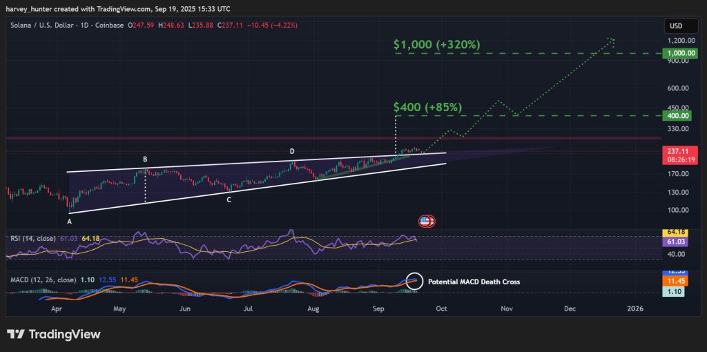 SOL / USSD 1-day chart, rising wedge breakout test. Source: TradingView.