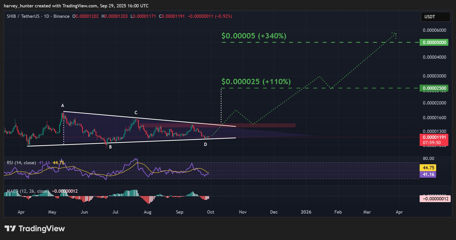 SHIB / USDT 1-day chart, symmetrical triangle nears apex. Source: TradingView.