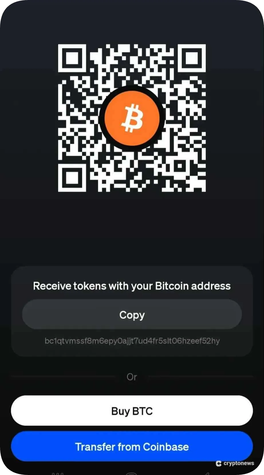 Choose Delivery Method and Complete Purchase