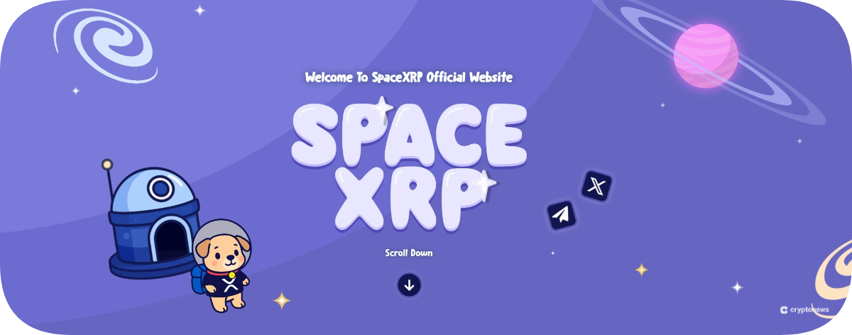 spacexrp presale